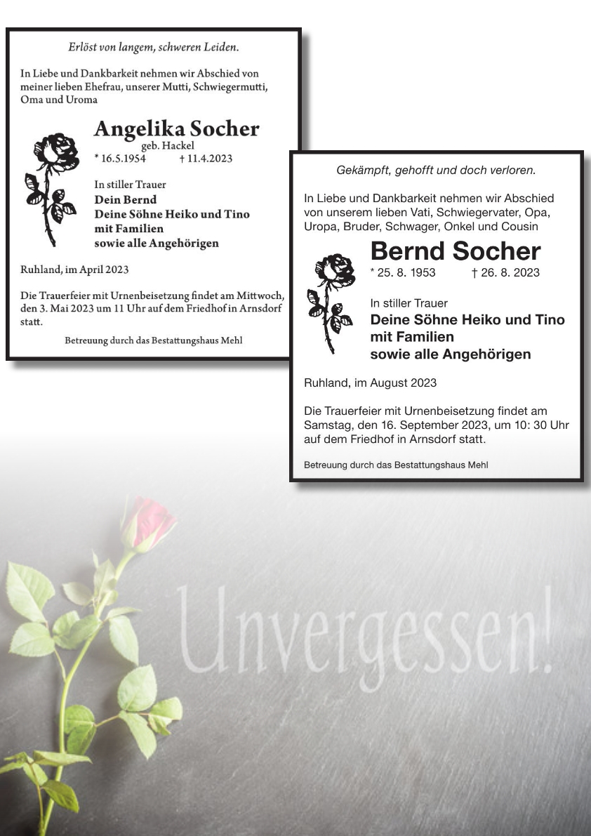 Cover von unvergessen ...